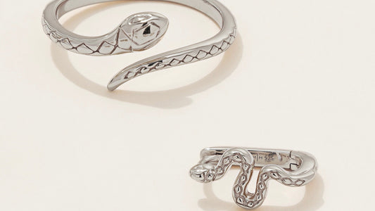 A silver snake ring and snake hoop earring