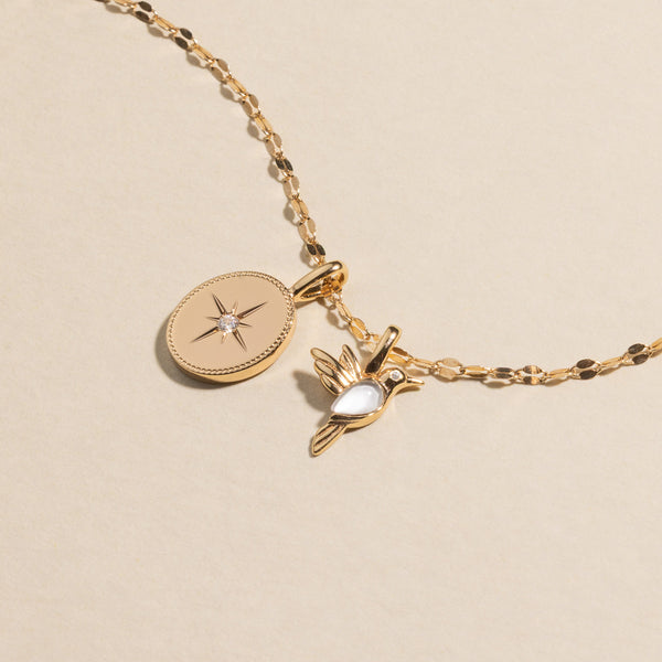 A gold chain necklace with an oval charm with a star motif and clear accent stone in the middle, and a hummingbird charm with a translucent stone.