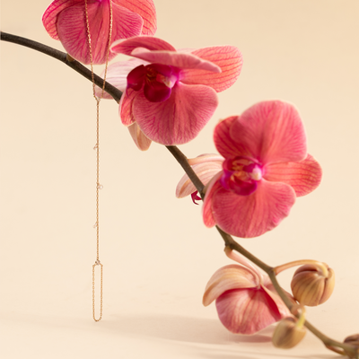 Pink orchid flowers with a gold hand chain hanging from them, against a beige background.