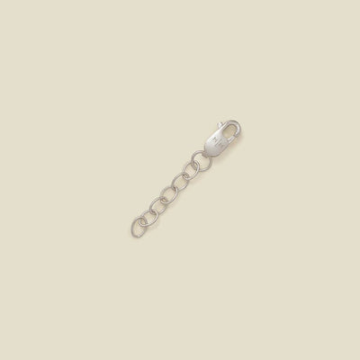 A silver  lobster clasp connected to a short chain of oval links, photographed on a plain warm beige background.