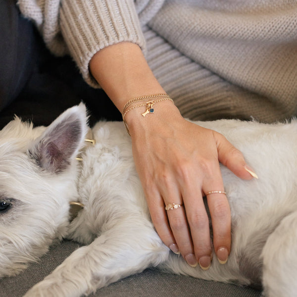 A close-up lifestyle image of a person with their hand on a small white dog, showcasing multiple gold rings and bracelets, one with a dog bone charm and a blue gemstone charm.