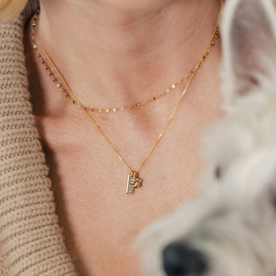 A close-up of a person wearing a textured gold chain choker necklace layered with a gold pendant chain holding a small engraved rectangle charm with the name 'ZOE' set vertically, and a gold polished paw print charm.