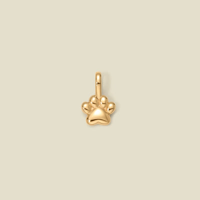 A small polished gold paw print charm with a bail at the top, centered on a solid light beige background.