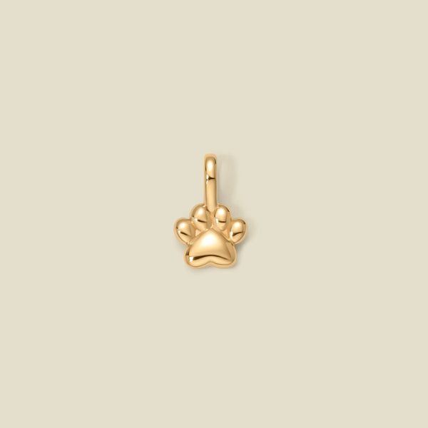 A small polished gold paw print charm with a bail at the top, centered on a solid light beige background.