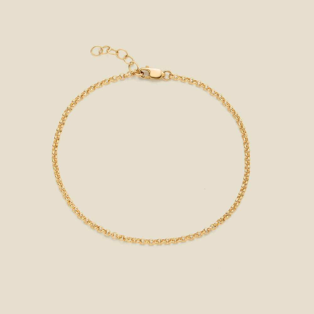 A delicate gold round link chain bracelet with a lobster clasp and extender chain, displayed on a solid light beige background.