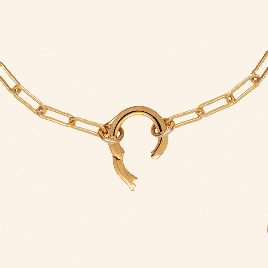 A short video showing a gold paperclip link chain necklace with a round polished ring in the center. The latch on the ring is opening and closing and multiple sets of various charms are sliding onto the screen and onto the hoop, showcasing variations of a charm necklace.